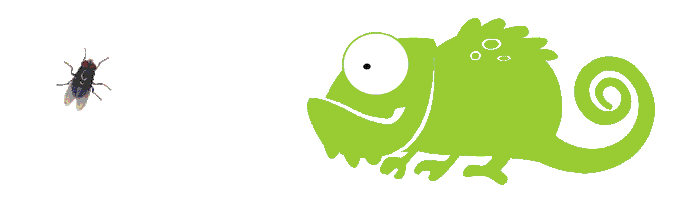 kameleoncomunicacao giphyupload Sticker