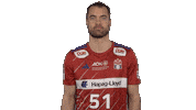 Handball-Bundesliga Handball Sticker by LIQUI MOLY HBL