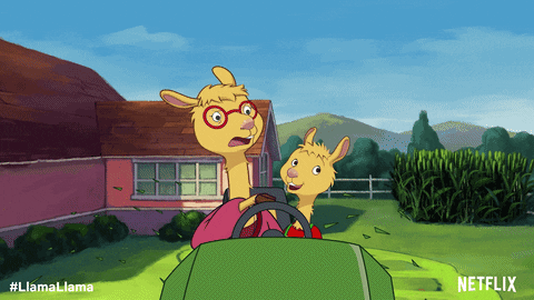 happy llama llama GIF by NETFLIX