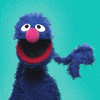 GIF of Grover on a turquoise background. He points down, indicating to check something out.