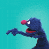 GIF of Grover on a turquoise background. He points to the left and opens his mouth in disbelief. 