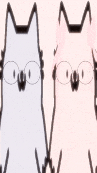 nubindia nub nubcat nubindia nub couples GIF