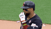 regular season sport GIF by MLB
