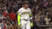 Celebrate Home Run GIF by MLB