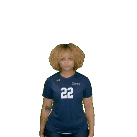 Womens Volleyball Sticker by Clarke University