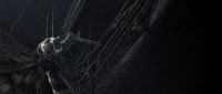 death loom GIF by Woodblock