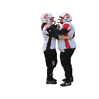 stuttgartscorpionssisters dancing sisters stuttgart laura Sticker