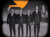 frankievallifourseasons flower guitar band plant GIF