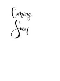 scriptivity scriptivity Sticker