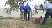 same-sex marriage wedding GIF