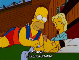 homer simpson GIF