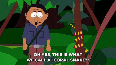 tree snake GIF by South Park 