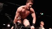 SHWAWrestling wrestling perth pro wrestling southern hemisphere wrestling alliance shwa GIF