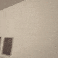 Cute Girl What GIF