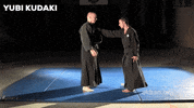 martial arts mma GIF by AKBAN Academy