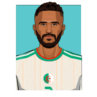 World Cup Football Sticker by Panini America