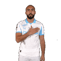 Football Soccer Sticker by Olympique de Marseille