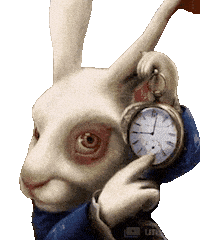 Rabbit Bashar Sticker