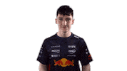 Red Bull Sr Sticker by Oracle Red Bull Racing