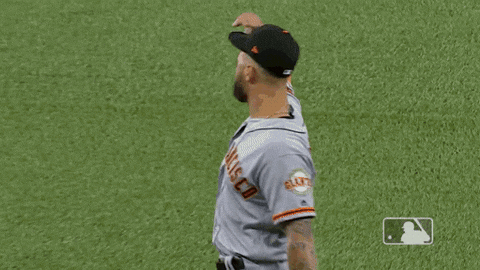 regular season sport GIF by MLB