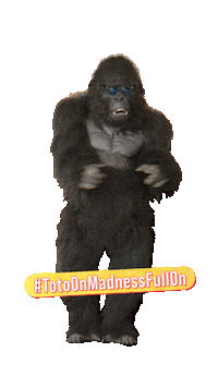 ANDPictures toto fullon hellocharlie andpictures Sticker