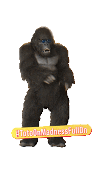 ANDPictures toto fullon hellocharlie andpictures Sticker