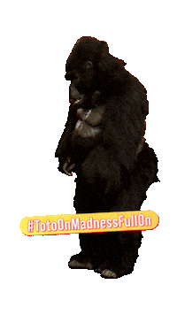 ANDPictures toto fullon hellocharlie andpictures Sticker