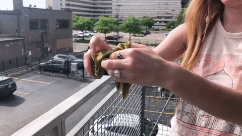 Animated GIF