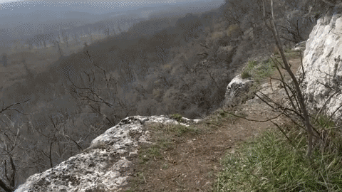 Kiazmus giphygifmaker hungary trail trail running GIF