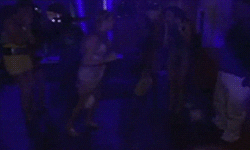 bad girls club dancing GIF by Oxygen