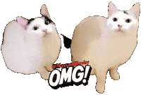 Oh My Wow Sticker