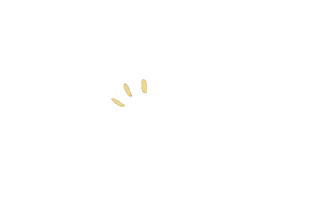 Star Sticker