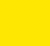 coneyislandmgmt feten festivalfeten feténfestival soyfetén GIF