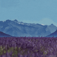 death skeleton GIF by Kiszkiloszki