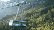 Glacier_3000 travel adventure switzerland mountains GIF