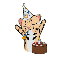 Celebrating Happy Birthday Sticker by UNIVA Campus Guadalajara