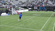 smash atp tour GIF by Tennis TV