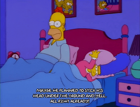 homer simpson GIF