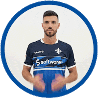 2 Bundesliga Football Sticker by SV Darmstadt 1898 e.V.