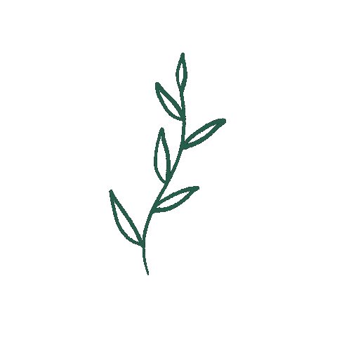 Cassievoncat nature green plant simple Sticker