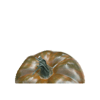 Tomato Soup Vegetable Sticker by Tomato Revolution seeds