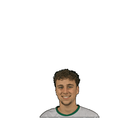 Sport Heerlen Sticker by Groene ster