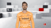 Eintracht Frankfurt Yes GIF by Bundesliga