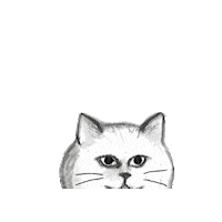 otanicat cat cats otanicat Sticker