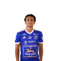 Football Celebration Sticker by FCVB