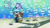 episode 5 spongebob's place GIF by SpongeBob SquarePants