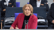 Deutscher Bundestag Ok GIF by Social Media Redaktion Bundestag