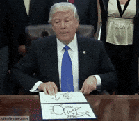Cat Trump GIF