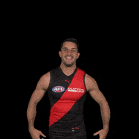 Afl Footy GIF by Essendon FC