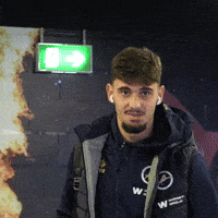 Celebration Smile GIF by MillwallFC